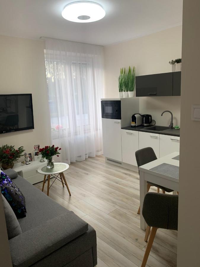 Apartament Walczaka 11 Miejsce Parkingowe Гожув-Велькопольски Экстерьер фото